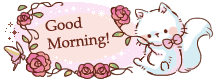 kitty-roses-morning